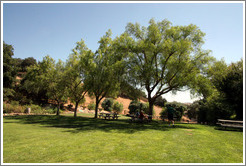 Picnic area.  Koehler Winery.