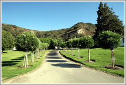 Driveway.  Rancho Sisquoc Winery.