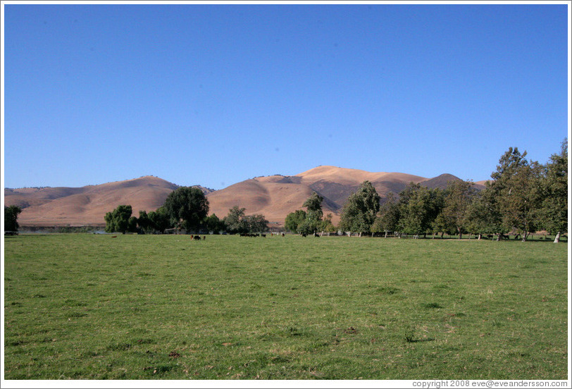 Nearby field and mountains.  Rancho Sisquoc Winery.