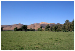 Nearby field and mountains.  Rancho Sisquoc Winery.