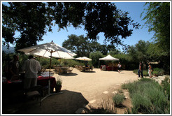 Picnic area.  Sunstone Vineyards and Winery.