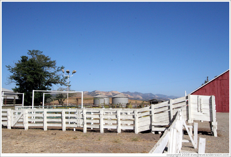 Ranch near Tres Hermanas Winery.