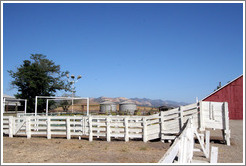 Ranch near Tres Hermanas Winery.