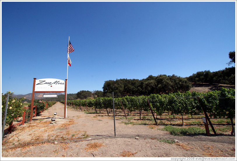 Zaca Mesa Winery and Vineyards.