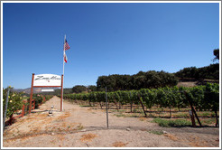 Zaca Mesa Winery and Vineyards.