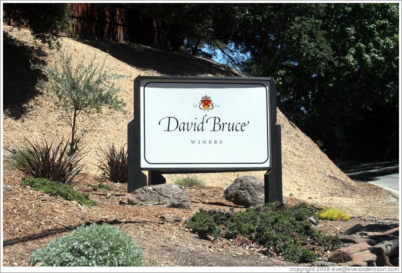 David Bruce Winery.