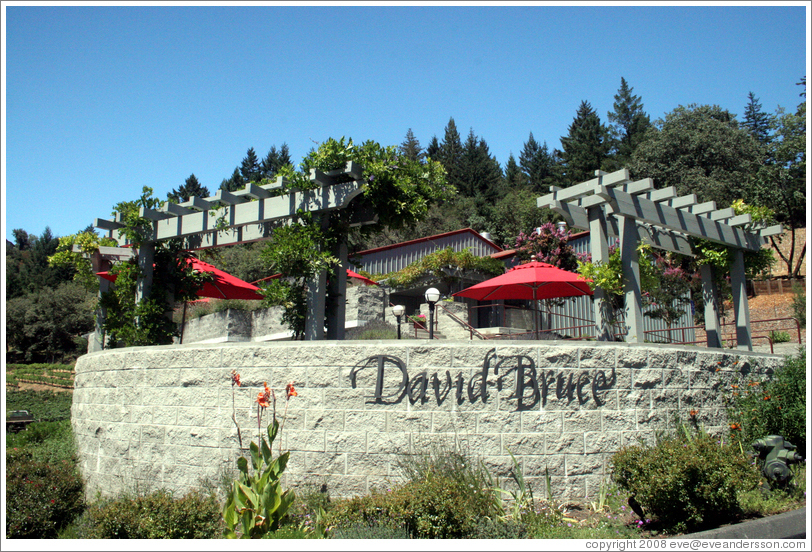 Picnic area.  David Bruce Winery.