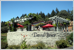 Picnic area.  David Bruce Winery.