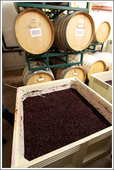 Must (fermenting grape juice), Heart O' The Mountain winery.