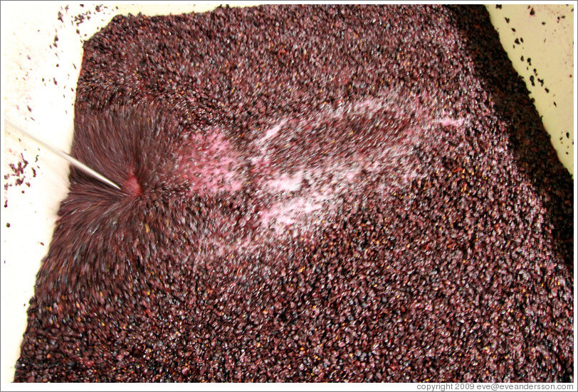 Stirring must (fermenting grape juice), Heart O' The Mountain winery.