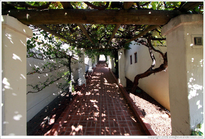 Walkway, Heart O' The Mountain winery.