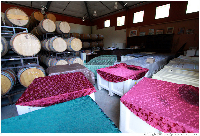 Fermenting grapes under blankets, Poetic Cellars&#8206;.