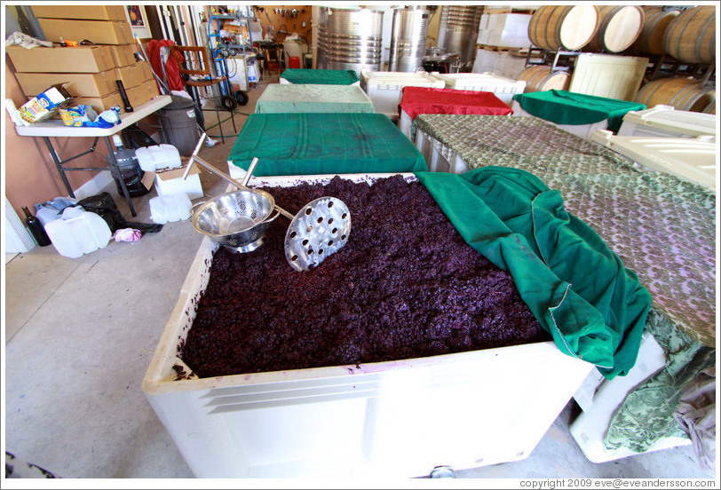 Must (fermenting grape juice), with juice-pulling implements, Poetic Cellars&#8206;.