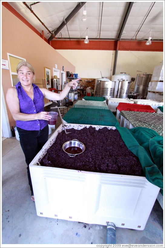Winemaker Katy Lovell of Poetic Cellars pulling juice from the must (fermenting grape juice).