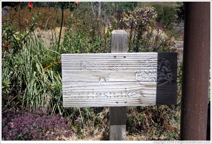Beward of rattlesnakes sign.  Ridge Vineyards.