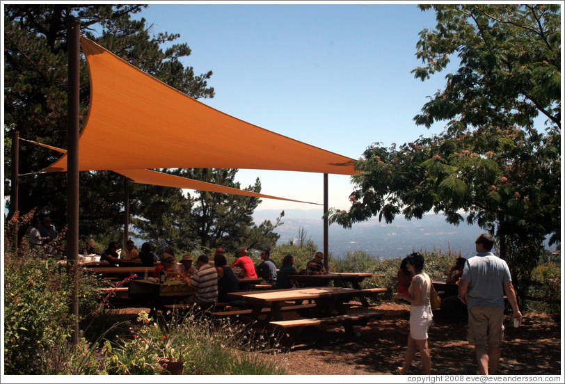 Picnic area.  Ridge Vineyards.