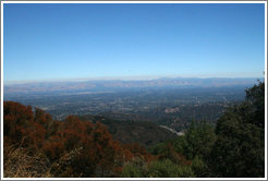 View.  Ridge Vineyards.