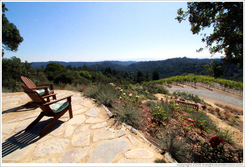 Chairs facing the view, picnic area, Vine Hill Winery.