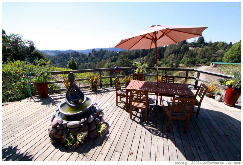 Picnic area, Vine Hill Winery.