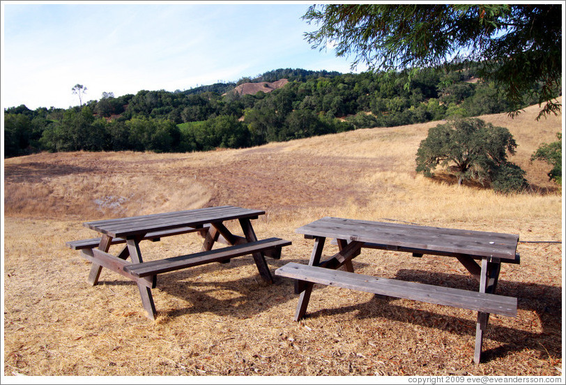 Picnic tables, Alexander Valley Vineyards.