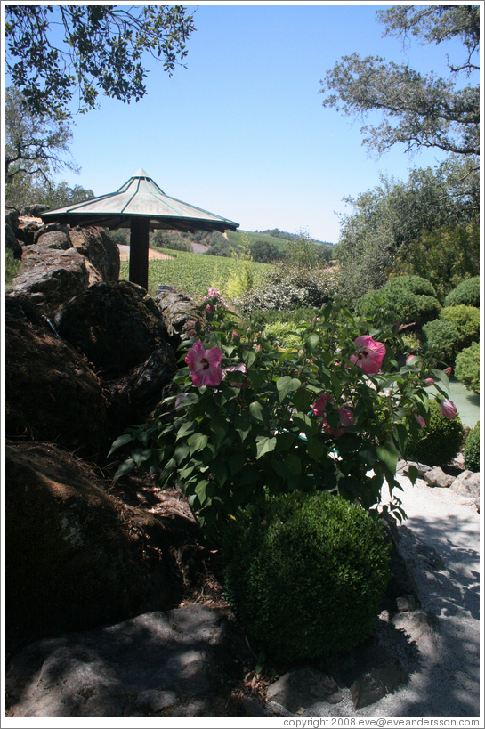 Garden.  Arista Winery.