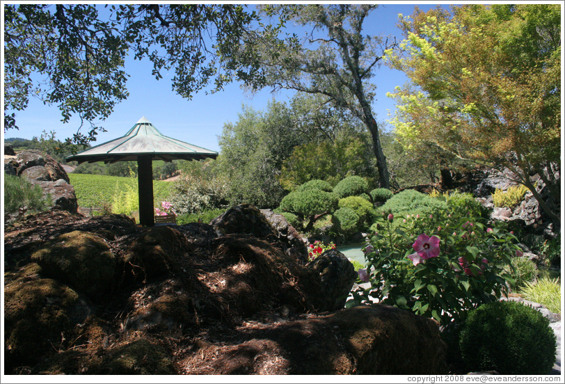 Garden.  Arista Winery.
