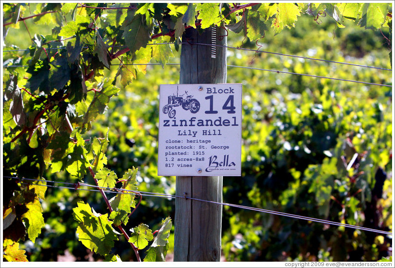 Block 14 zinfandel Lily Hill sign, Bella Vineyards.