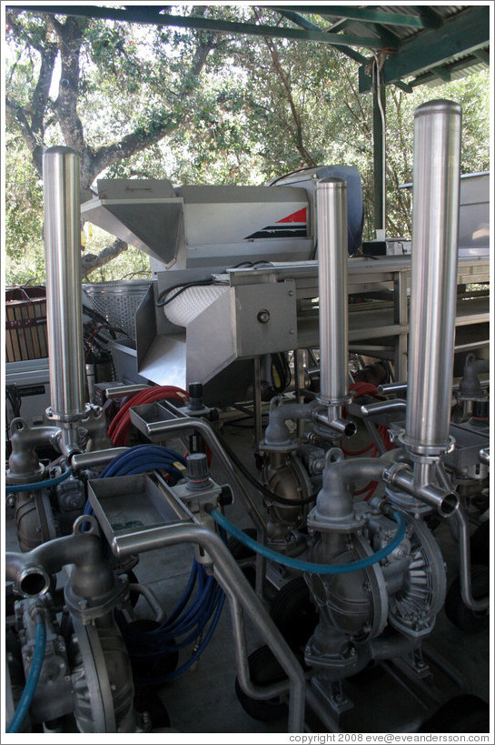 Destemmer/crusher.  Benziger Family Winery.