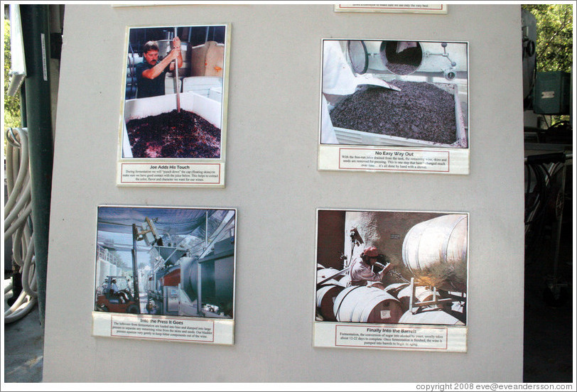 Wine-making process.  Benziger Family Winery.