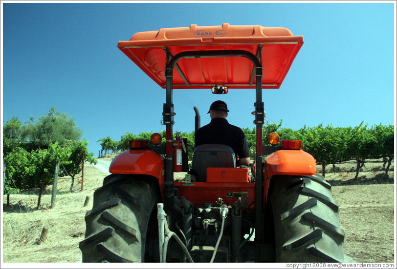 Tractor.  Benziger Family Winery.