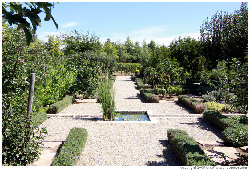 Garden, C. Donatiello Winery.
