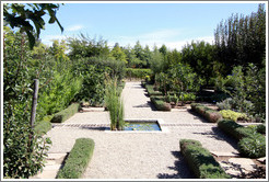 Garden, C. Donatiello Winery.