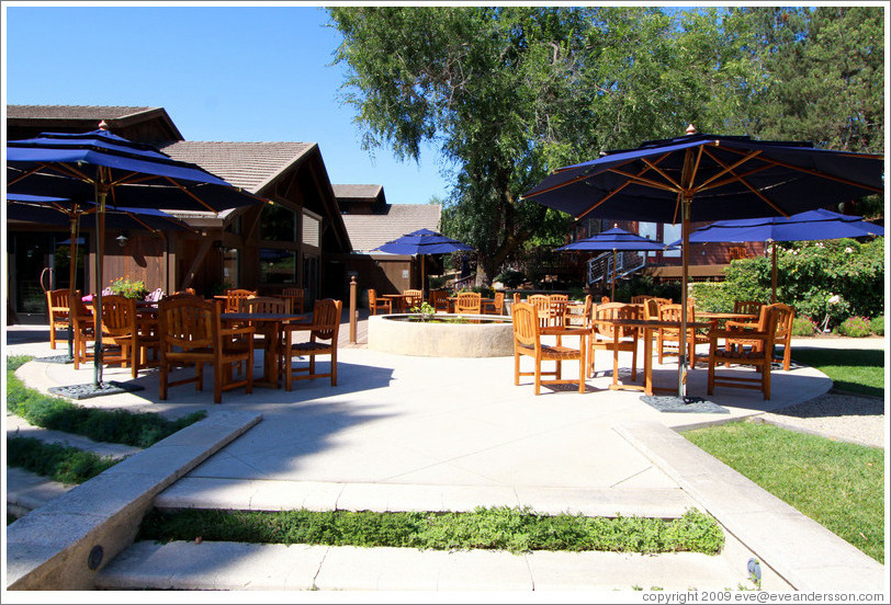 Patio, C. Donatiello Winery.