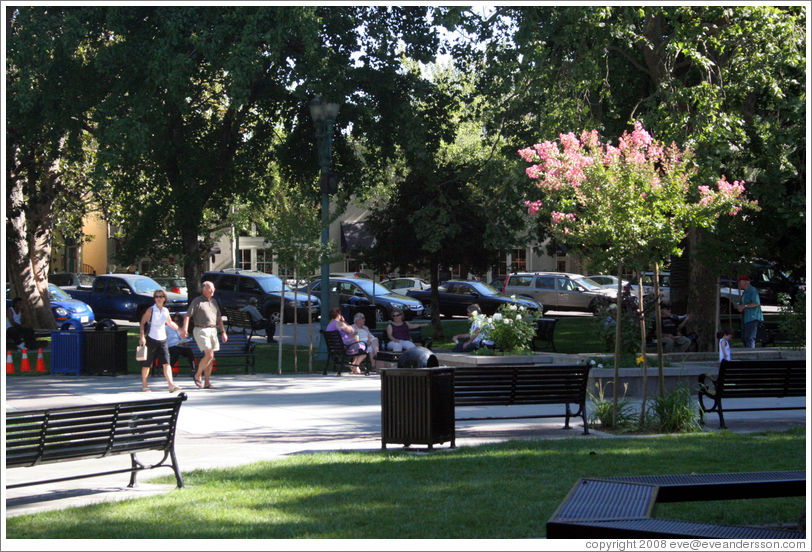 Plaza Park.  Downtown Healdsburg.