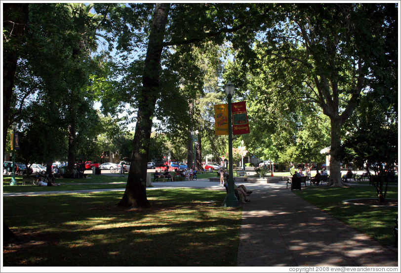 Plaza Park.  Downtown Healdsburg.