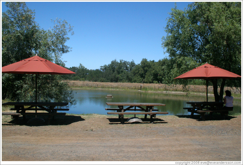 Pond with picnic tables.  Hop Kiln Winery.