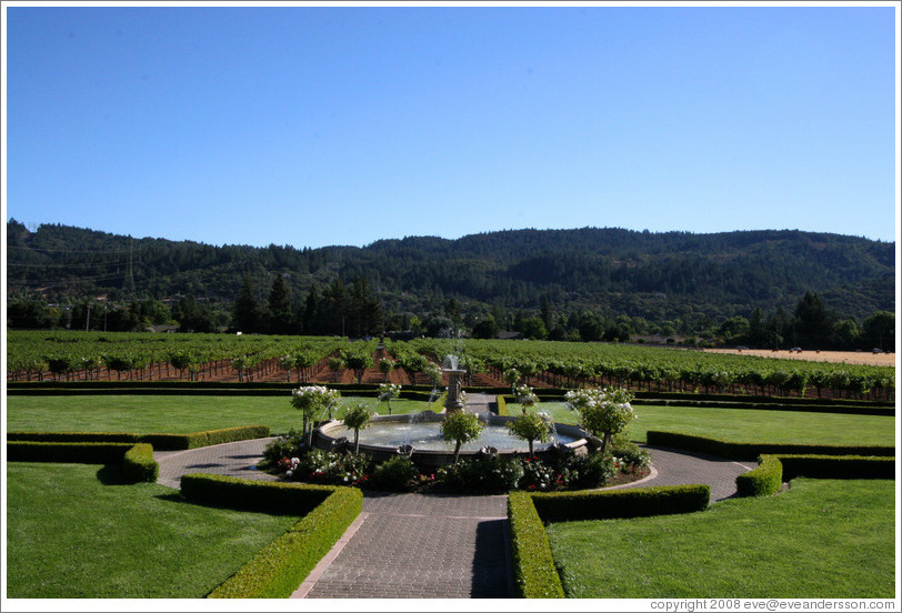 Fountain and vineyard.  Ledson Winery and Vineyards.