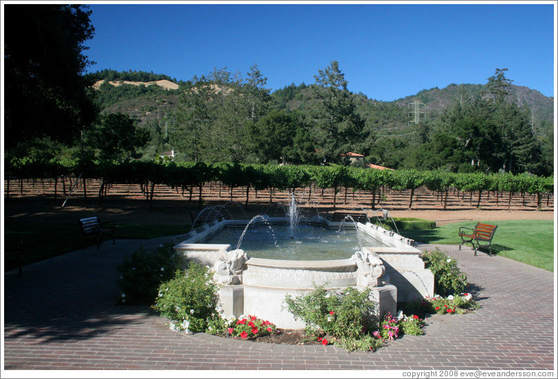 Fountain and vineyard.  Ledson Winery and Vineyards.