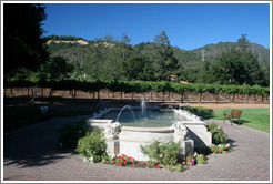 Fountain and vineyard.  Ledson Winery and Vineyards.