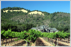 Vineyard in front of castle.  Ledson Winery and Vineyards.