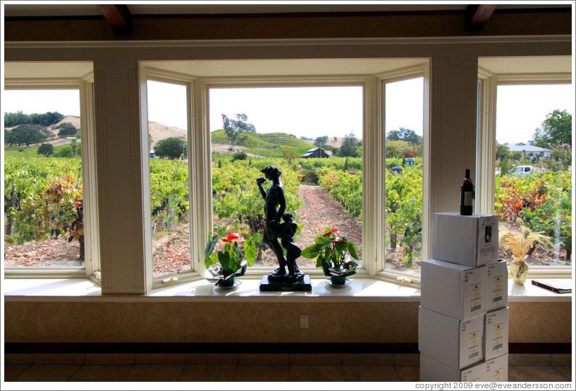 Tasting room, looking out onto the vineyard, Limerick Lane Cellars.