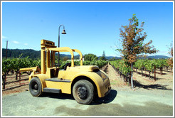 Tractor, Mauritson Wines.