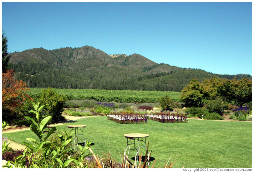 Garden and mountains.  St. Francis Winery and Vineyards.