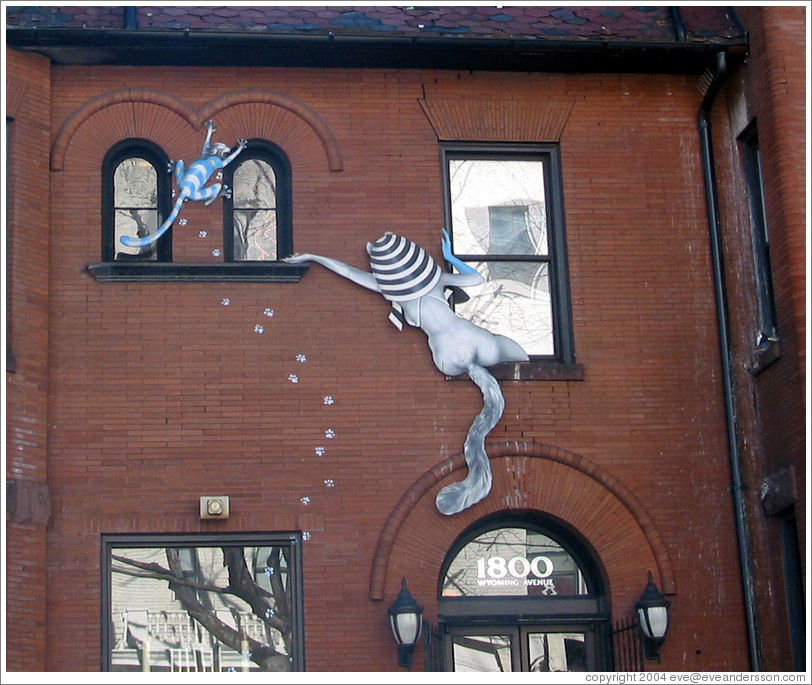 Adams Morgan.  Cat chase (?) on a building at Wyoming Ave and 18th St.