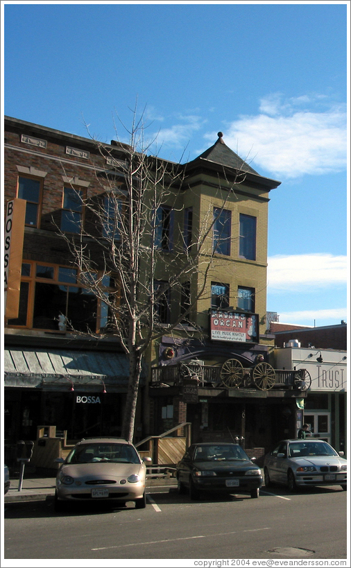 Adams Morgan.  Madams Organ.