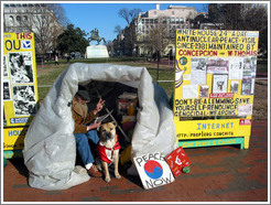 Thomas has been campaigning for peace near the White House since 1981.  More info: <a target=new href=http://prop1.org>prop1.org</a>.