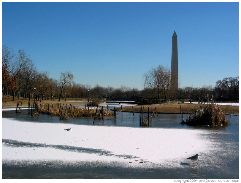 Washington Monument.