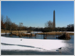 Washington Monument.