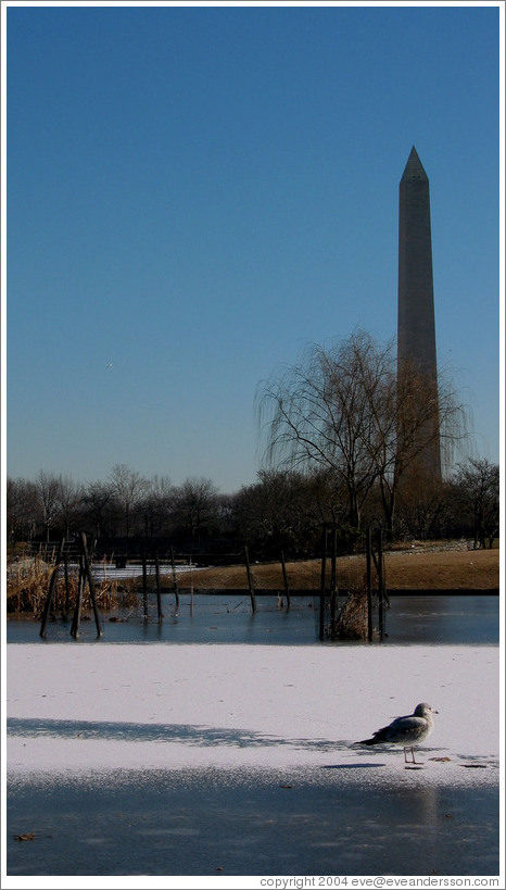 Washington Monument.