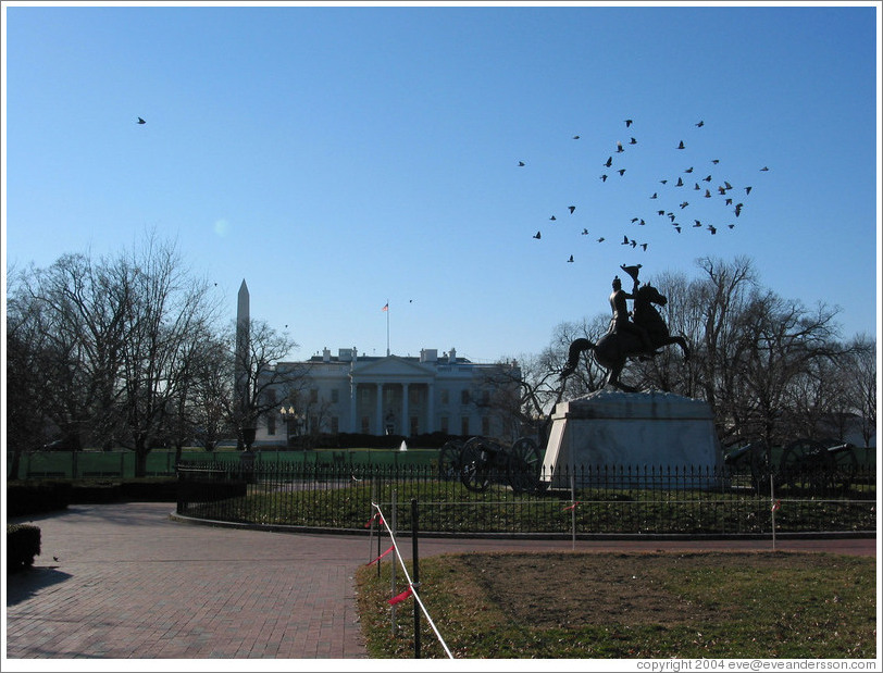 Back of the White House.  Birds flying over a statue.